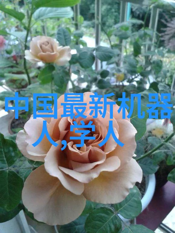 结构之谜塔尖上的秘密