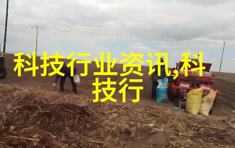 探索杨含奇的艺术世界独特视角下的中国传统绘画革新