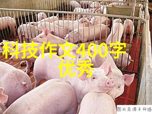 OMRON接近传感器圆柱型选型指南送老师时的物品选择
