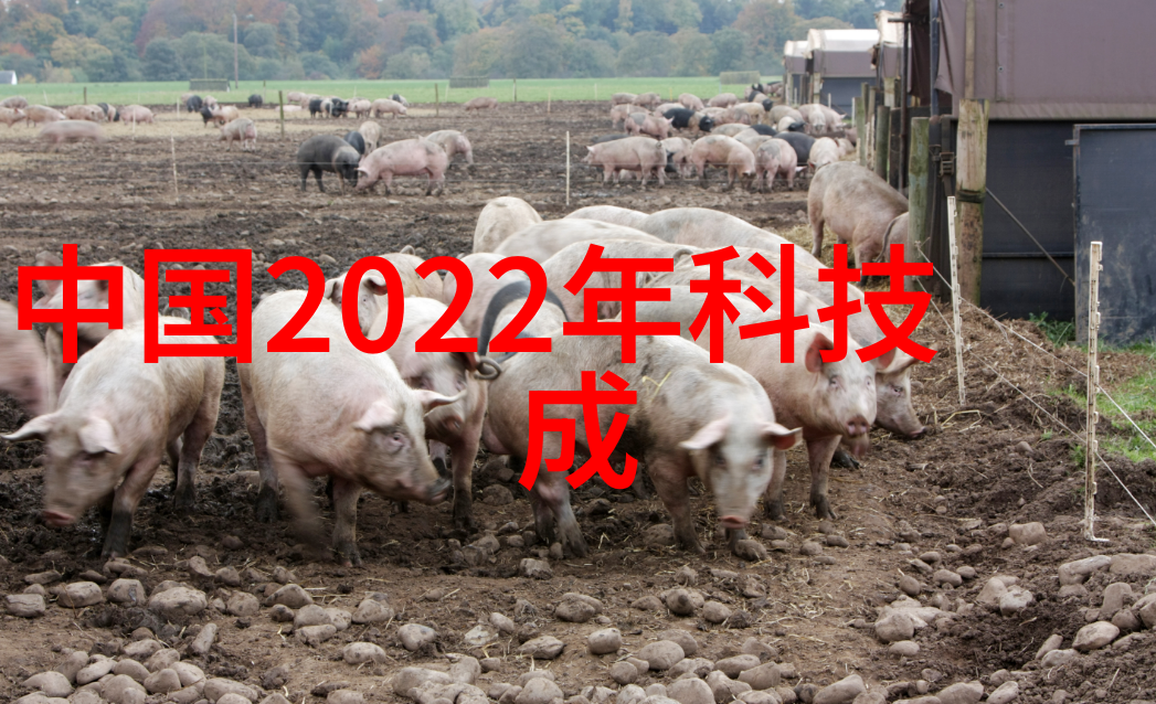 水电维修费用的税收政策解析