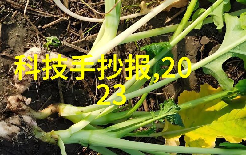 塑料造粒机原理与工作流程详解