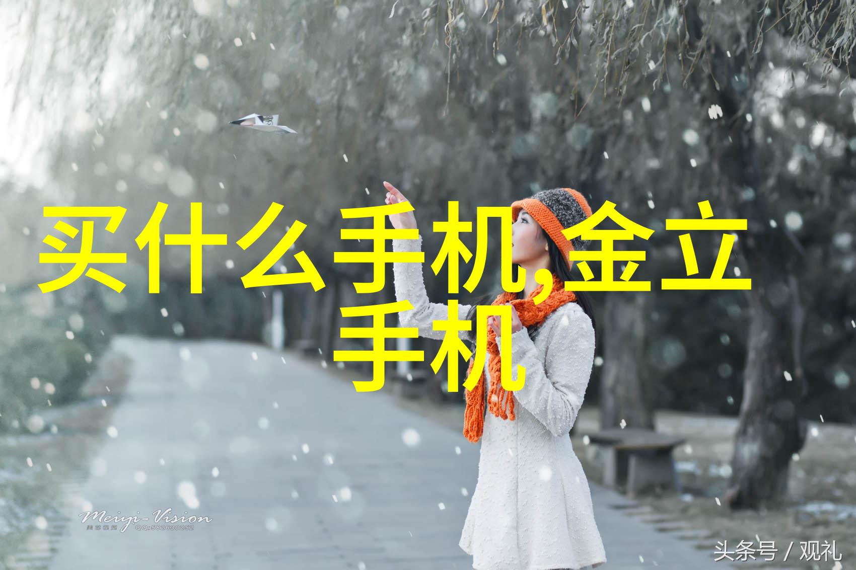 探索星际中国资源卫星应用中心的招聘征程