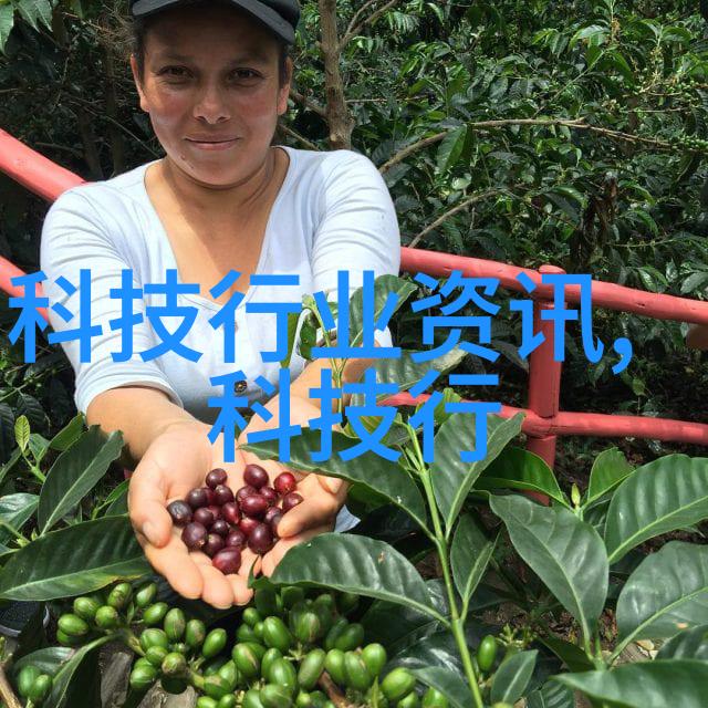 环境友好生活方式探索绿色环保的不锈钢材料选择