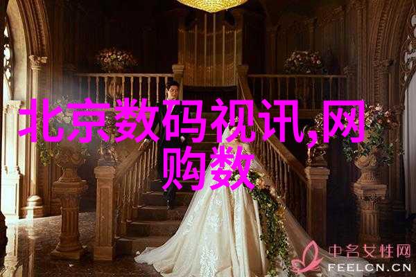 智网高速信息流的电子轮廓