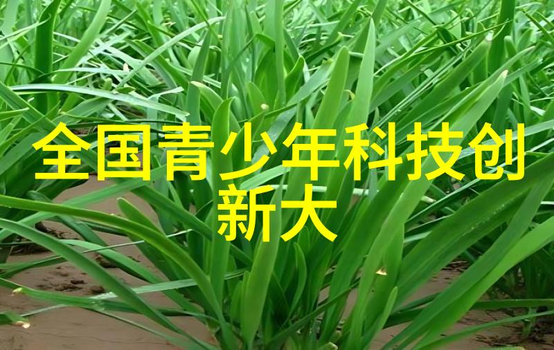 水电安装主体施工包括什么我来告诉你点儿啥