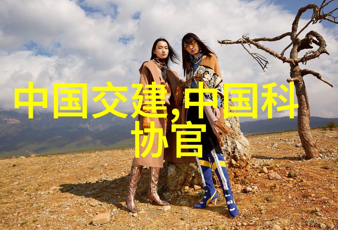 设备技术-高效闪蒸干燥技术与应用