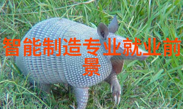 蒸汽之舞高压灭菌器的微妙艺术与宏大力量