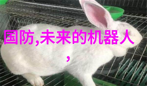 别墅设计装修创造理想家园的艺术与科技融合