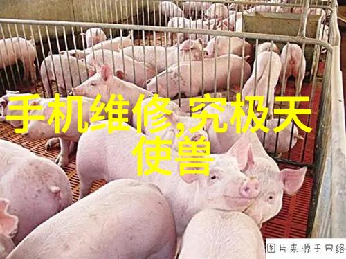 亲密面膜一场爱情与美丽的交织