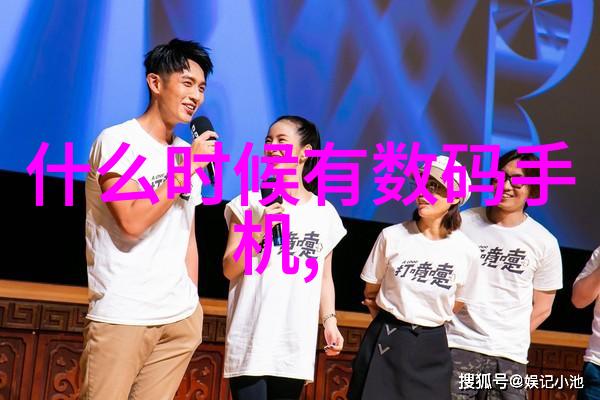 环境友好经济实用的现代家居隔热解决方案利用不锈钢金属丝网填料