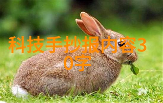 肥波们的BBWWHBBWW梦想大冒险