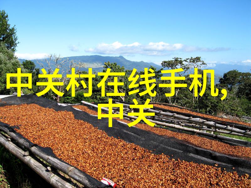 花语传承玫瑰的爱与美丽