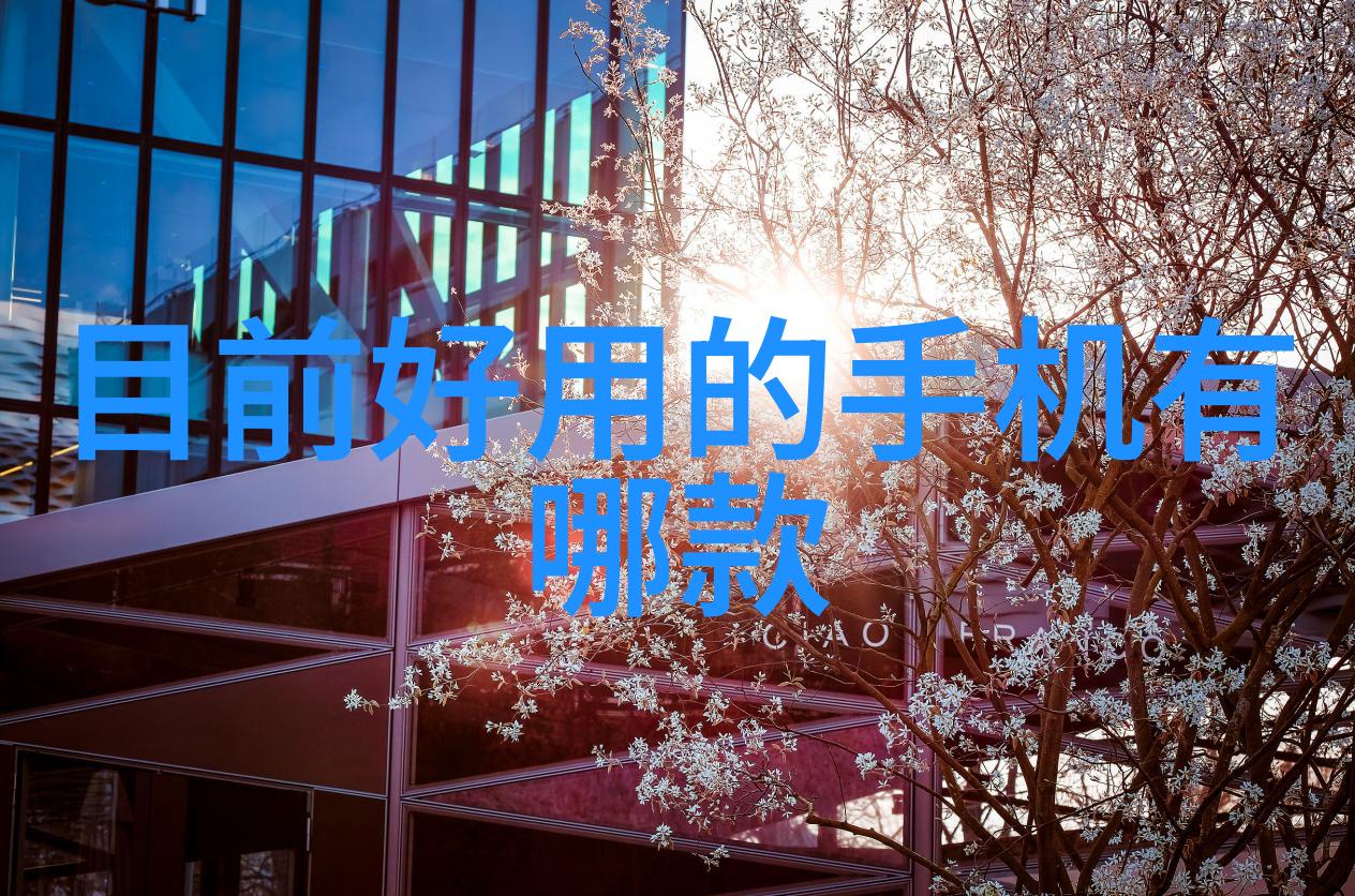冰山王爷的废妾寒冷宫廷中的暖意相遇