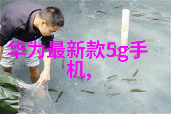 面对挑战如何运用现代科技提升传统画廊的保养效率引入展柜恒温恒湿机