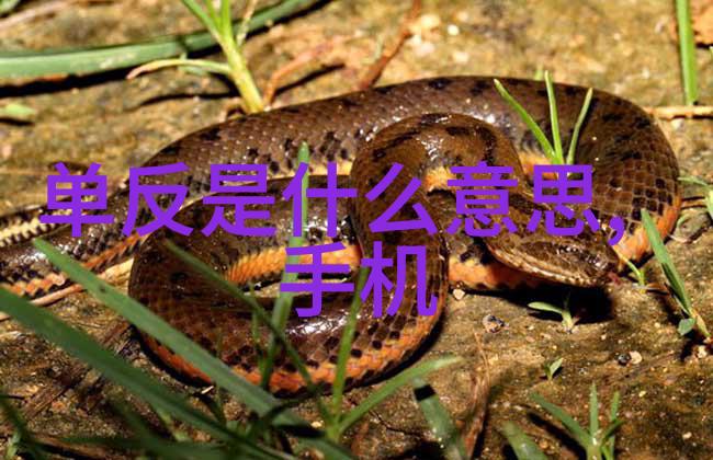 云计算服务对智能制造装备的支持与挑战