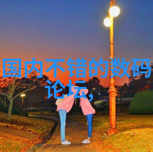 健康饮食新选择如何在微波炉中制作营养均衡的便当盒饭